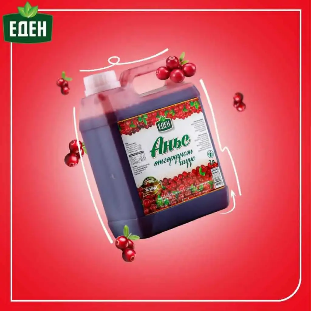 Eden Аньс өтгөрүүлсэн шүүс 2л 