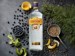 Gordan s архи 1L