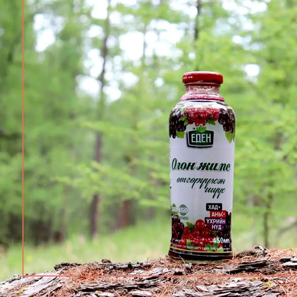 Eden олон жимс өтгөрүүлсэн шүүс 450 мл
