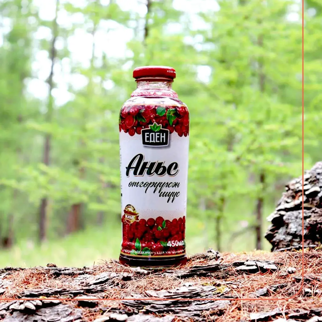 Eden Аньс шүүс 450мл