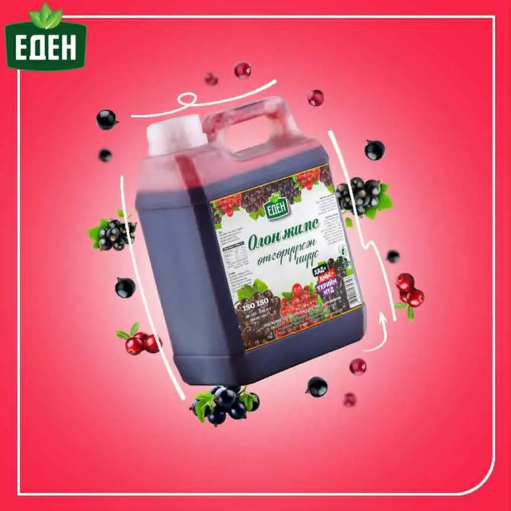 Eden өтгөрүүлсэн шүүс 2л нэрс